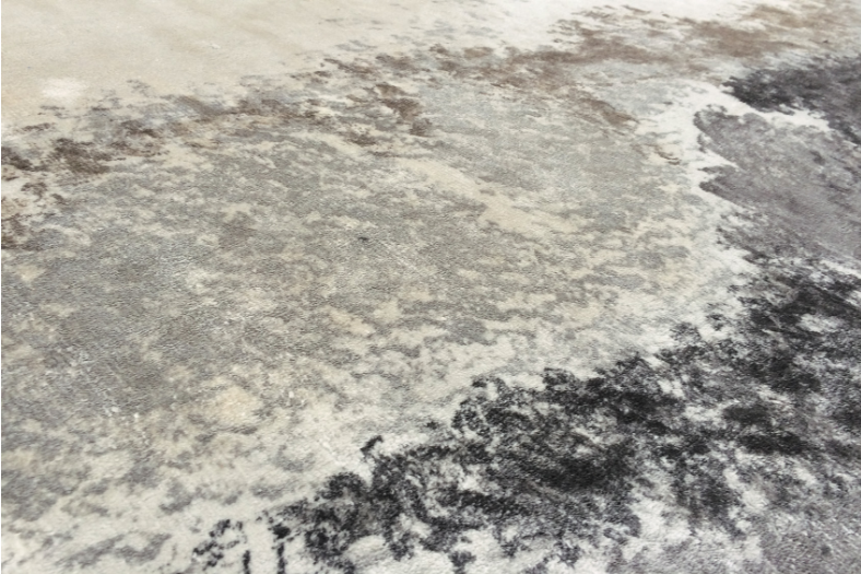 TAPIS LAND DE SERGE LESAGE